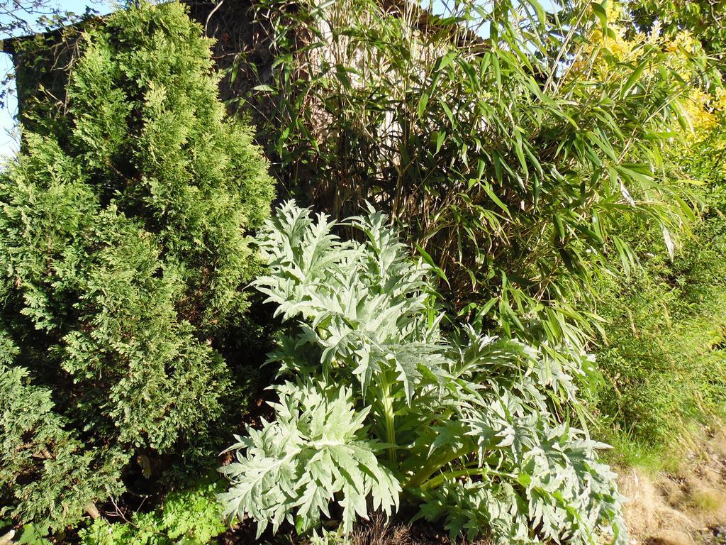 Gites Mont Saint Michel "Aucoeurdelabaie" Sains Eksteriør bilde